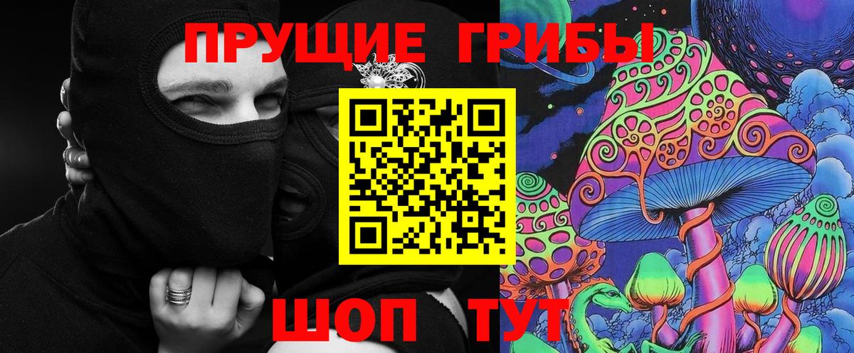 Псилоцибиновые грибы Psilocybine cubensis Углич