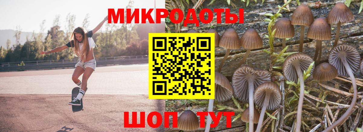 наркошоп  Галлюциногенные грибы Psilocybine cubensis  Вход с VPN  Псилоцибиновые грибы MAGIC MUSHROOMS  Углич 
