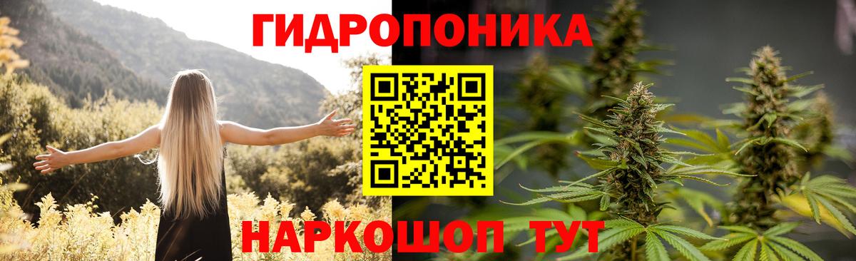 Каннабис план  Конопля Ganja  Конопля White Widow  Вход с VPN  Углич 
